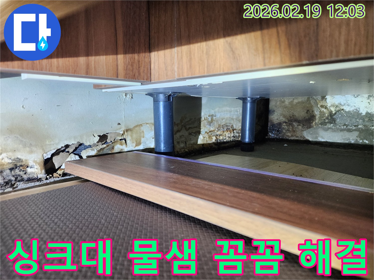 싱크대 하부 벽면의 심각한 누수 흔적-벽지 손상과 곰팡이가 광범위하게 퍼진 상태를 전문가가 진단