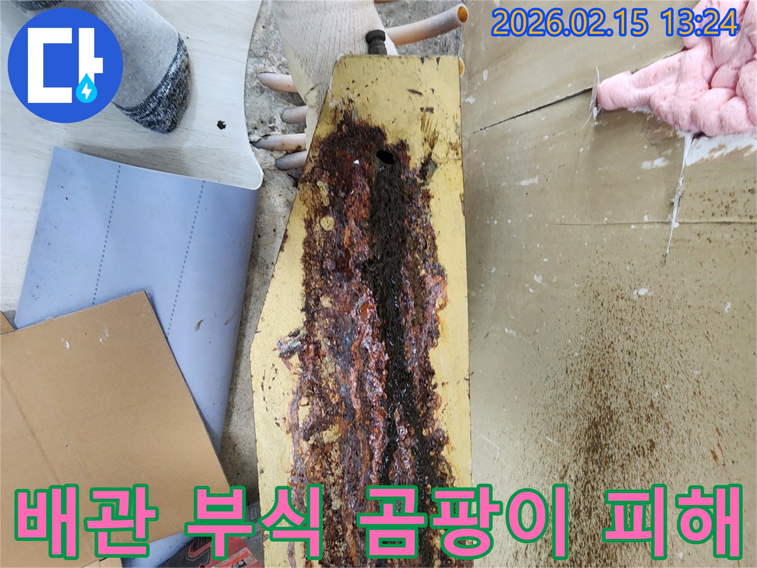 배관-부식으로-인한-누수로-발생한-곰팡이-피해를-전문가가-점검하고-있습니다