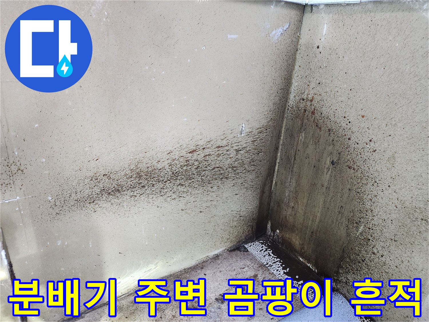 보일러실 분배기 근처 벽면의 곰팡이와 습기 오염 상태