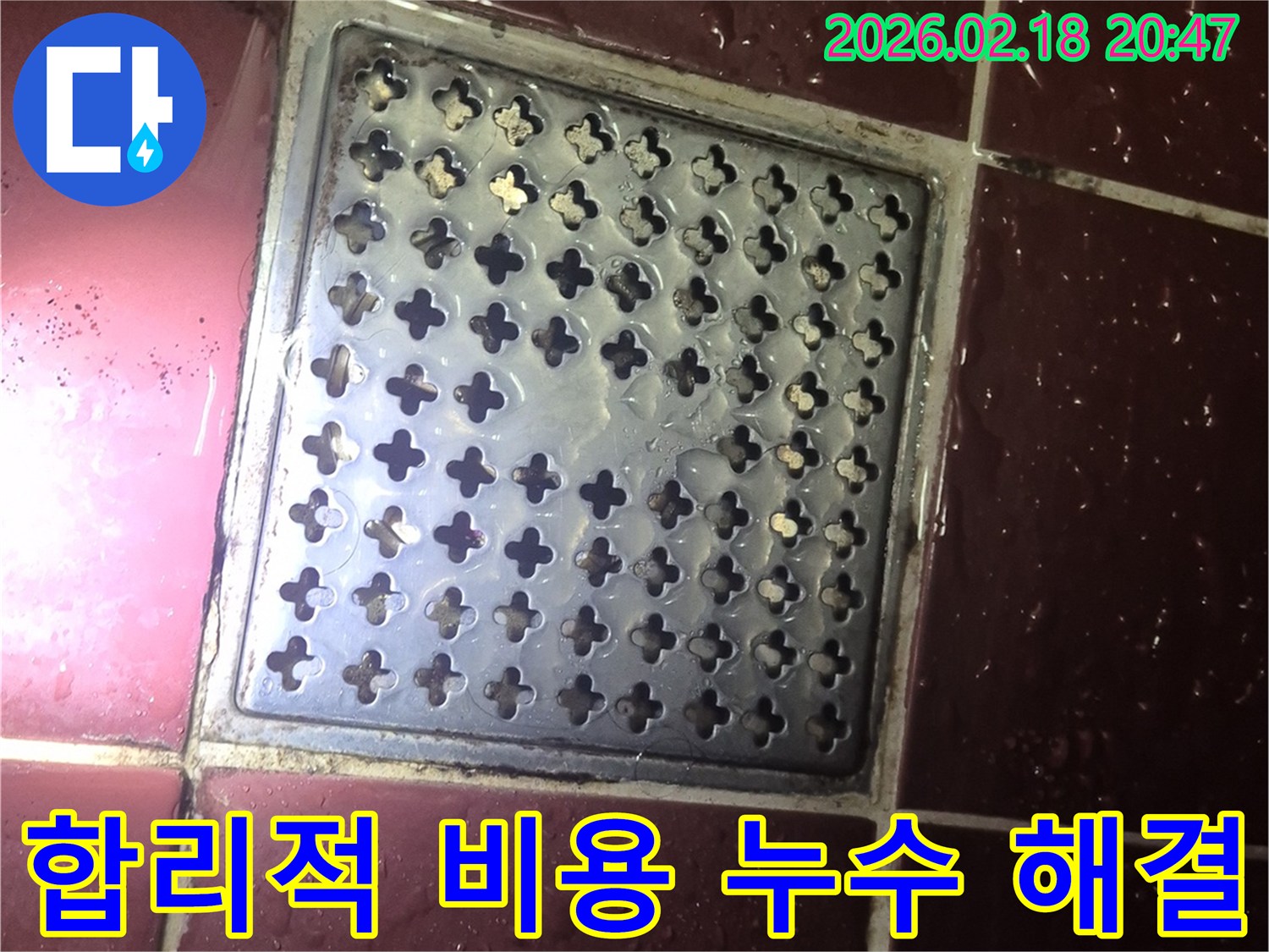 양주 백석읍 화장실 배수구-주변 물고임 현상을-합리적인 비용으로 해결하는 모습
