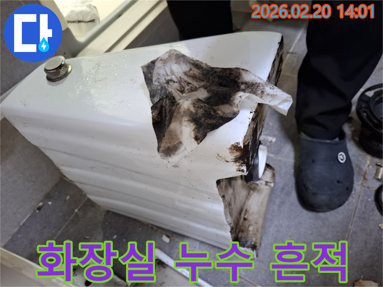 누수 문제로 인해-변기 주변에 생긴-검은 곰팡이와-물때가 가득한-화장실 현장
