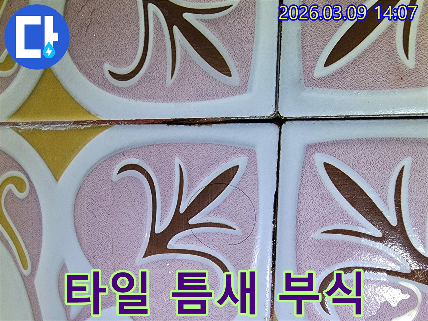 욕실 타일 틈새의 부식된 모습-지속적인 물 스밈으로 인한 누수 발생 가능성