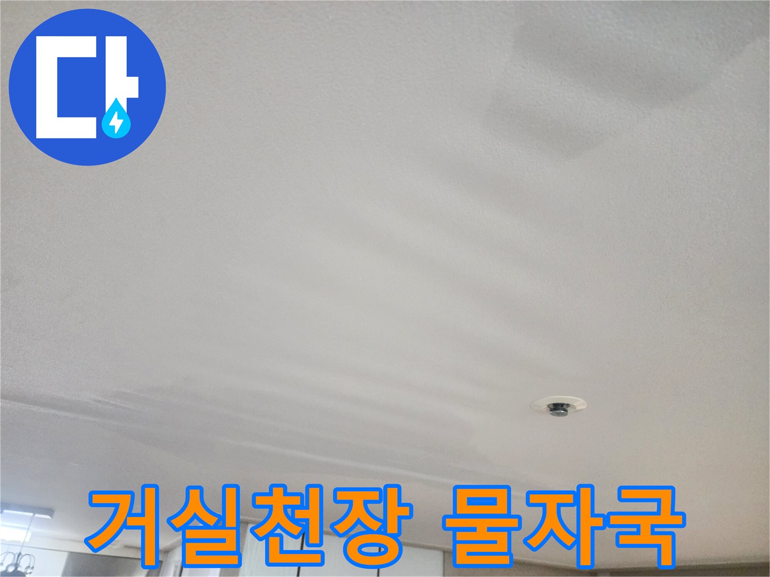 동대문구-거실-천장-물샘-증상-사진