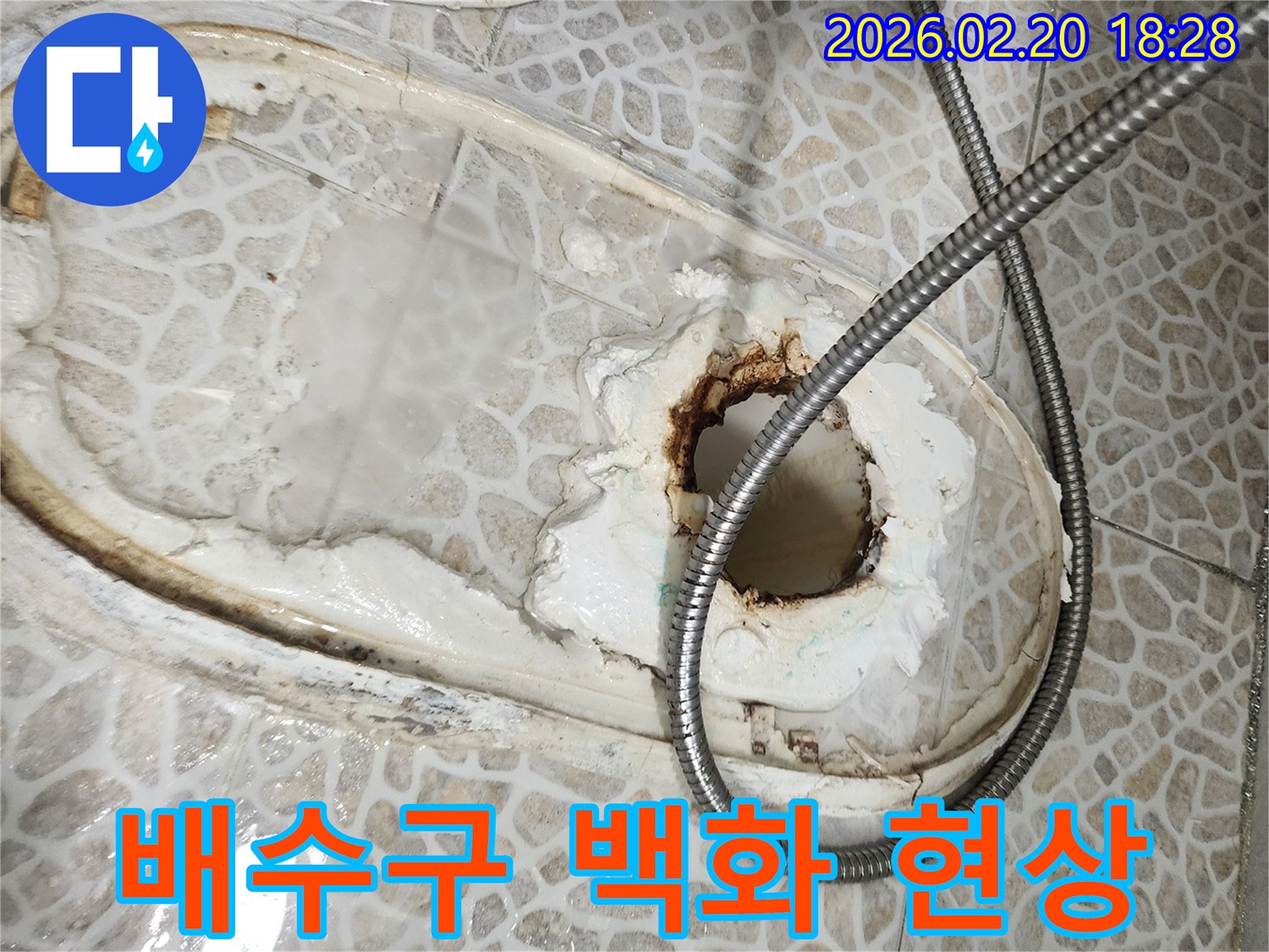 욕실 배수구 주변의 심각한 백화 현상과 부식-지속적인 누수의 명확한 증거