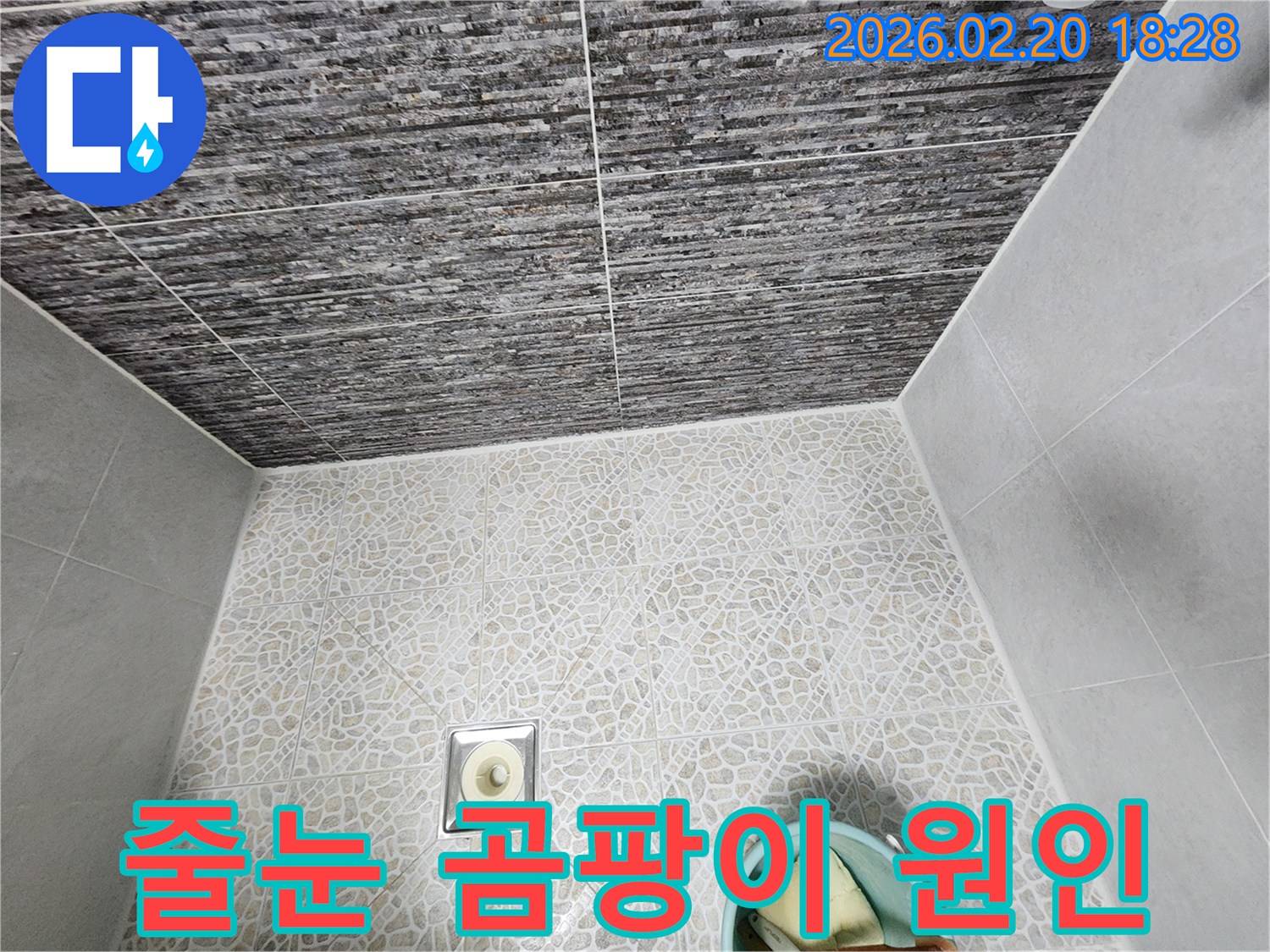 주택 욕실의 바닥 타일 줄눈과 벽면 하단을 촬영한 이미지입니다-줄눈 곰팡이 발생 원인을 분석하여-누수와의 연관성을 파악하고 있습니다.