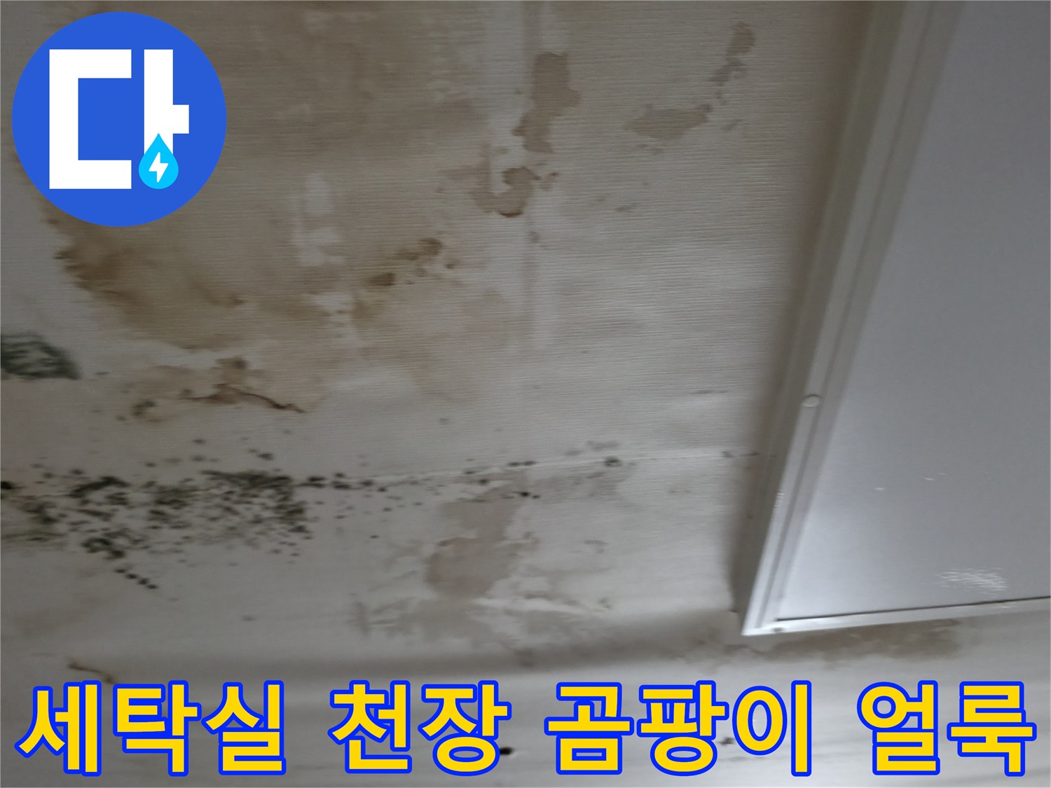 강남구 세탁실 천장-심한 곰팡이와 변색된 얼룩 상태