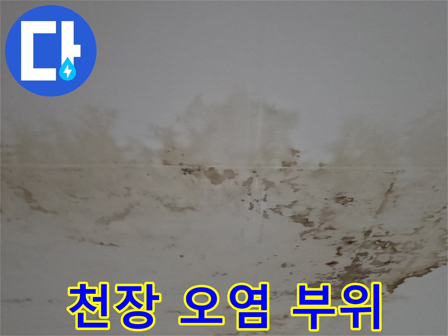 누수-흔적과-곰팡이가-섞여있는-천장-상태