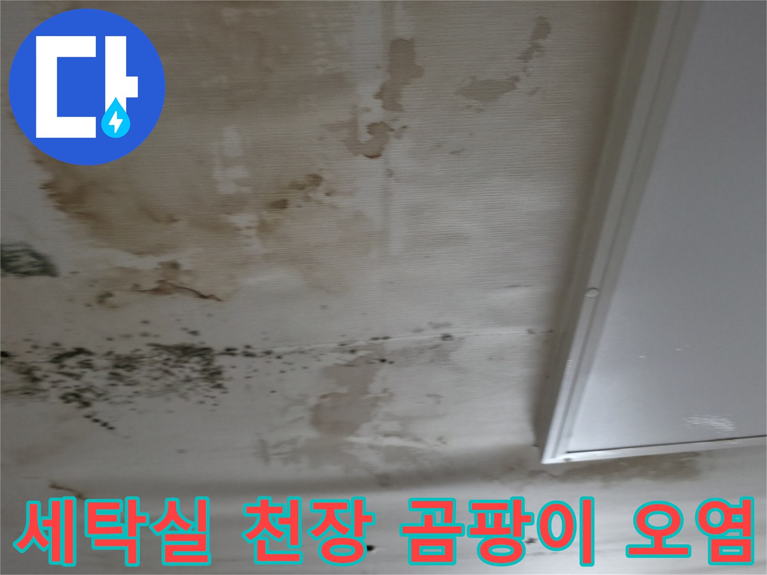 세탁실-천장부위의-심한-곰팡이와-물자국-상태
