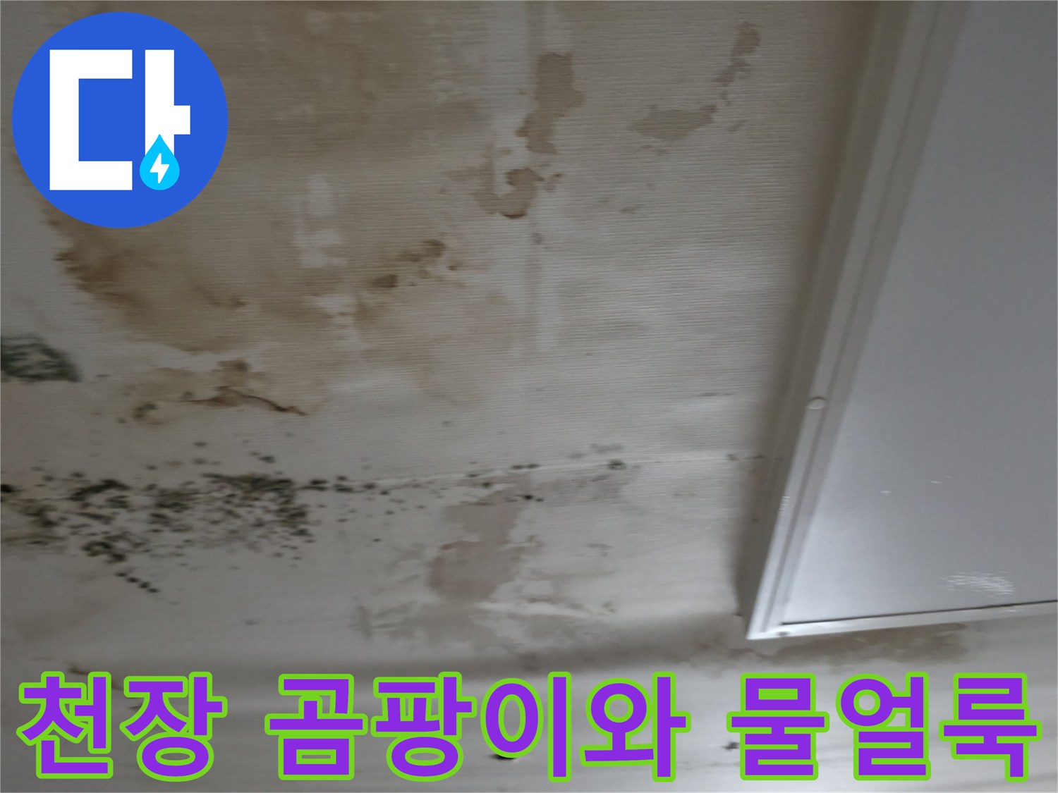 천장-벽면의-심각한-물자국과-곰팡이-발생