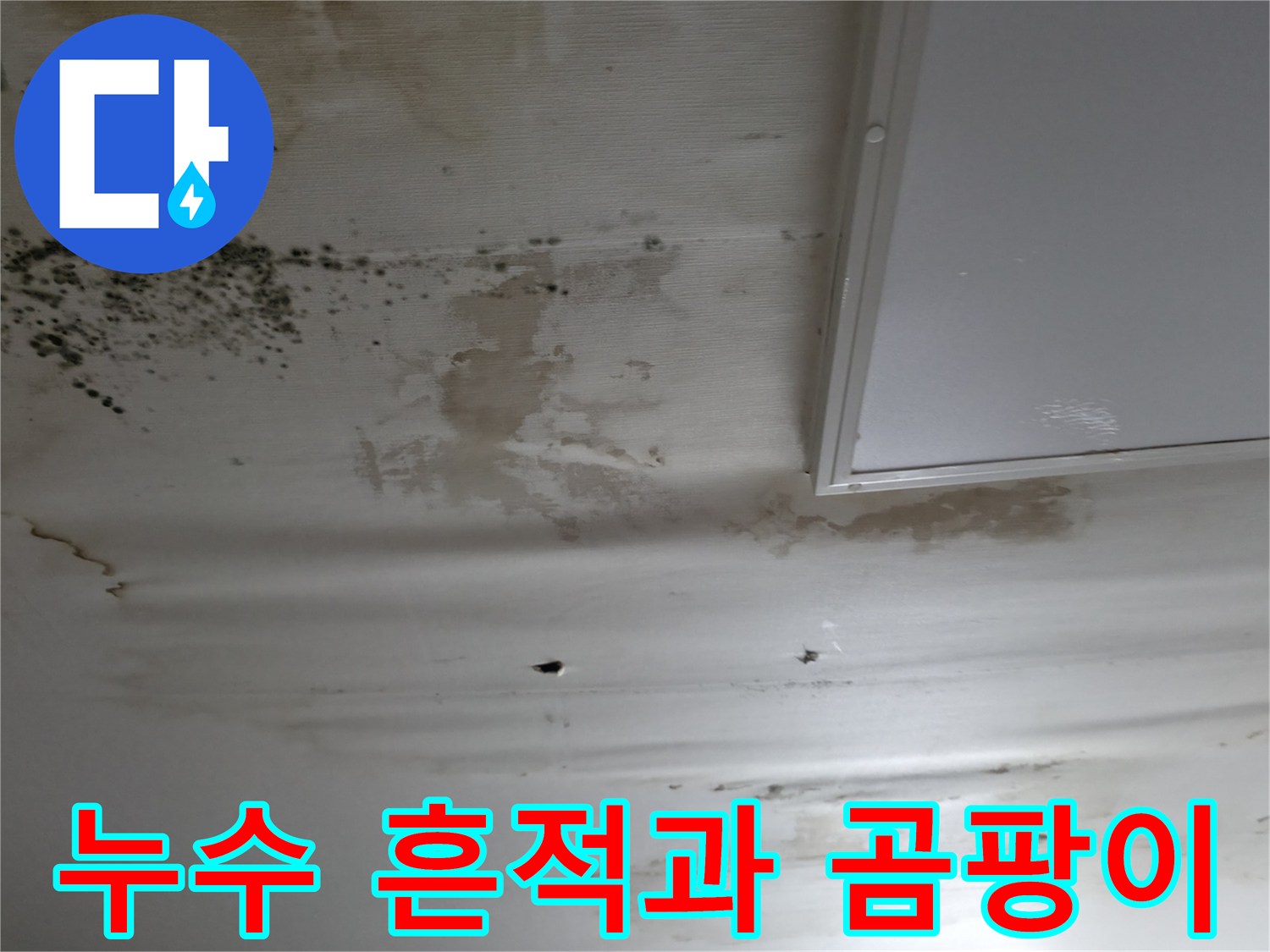 천장에-남은-심한-물자국과-검은색-곰팡이-오염