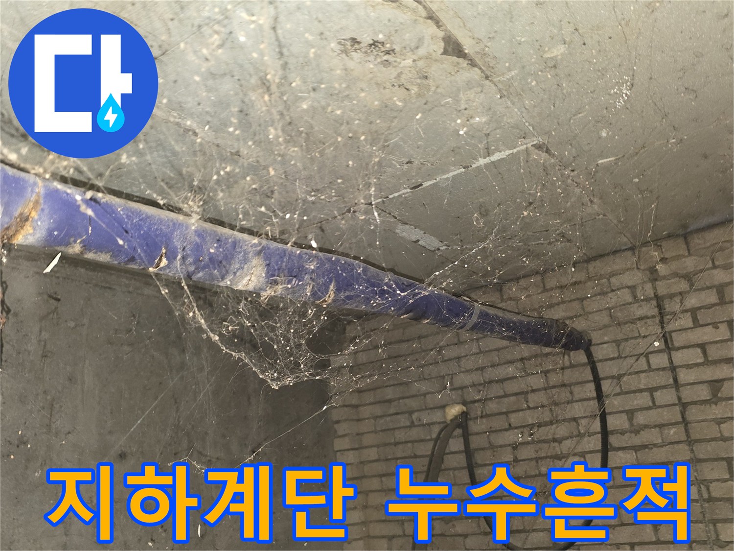 강동구 지하 계단 벽면의 누런 물자국과 오염된 천장 상태