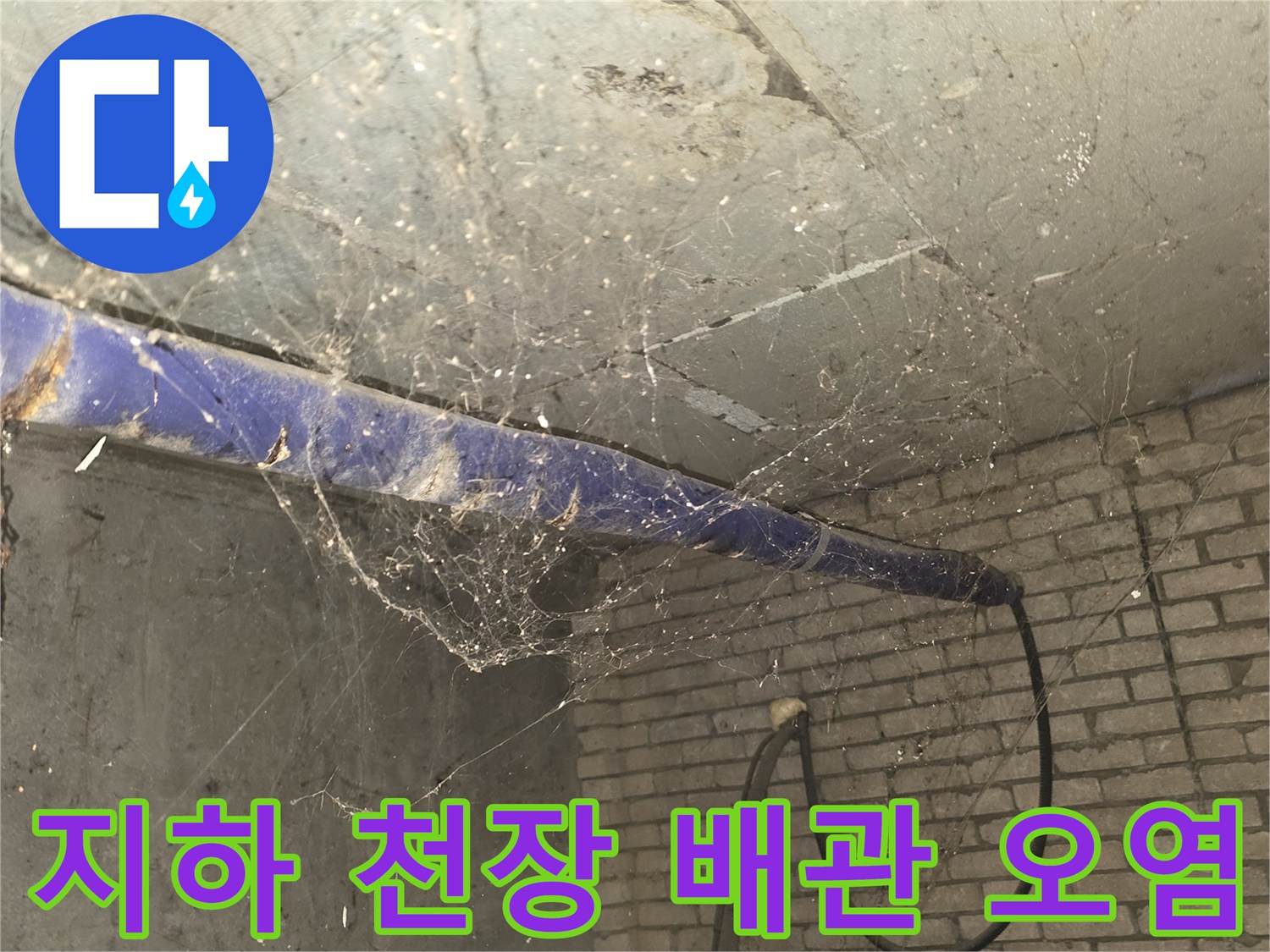 강동구 지하 배관실-천장 배관 주변의 누수 흔적과 오염 상태를 보여주는 사진