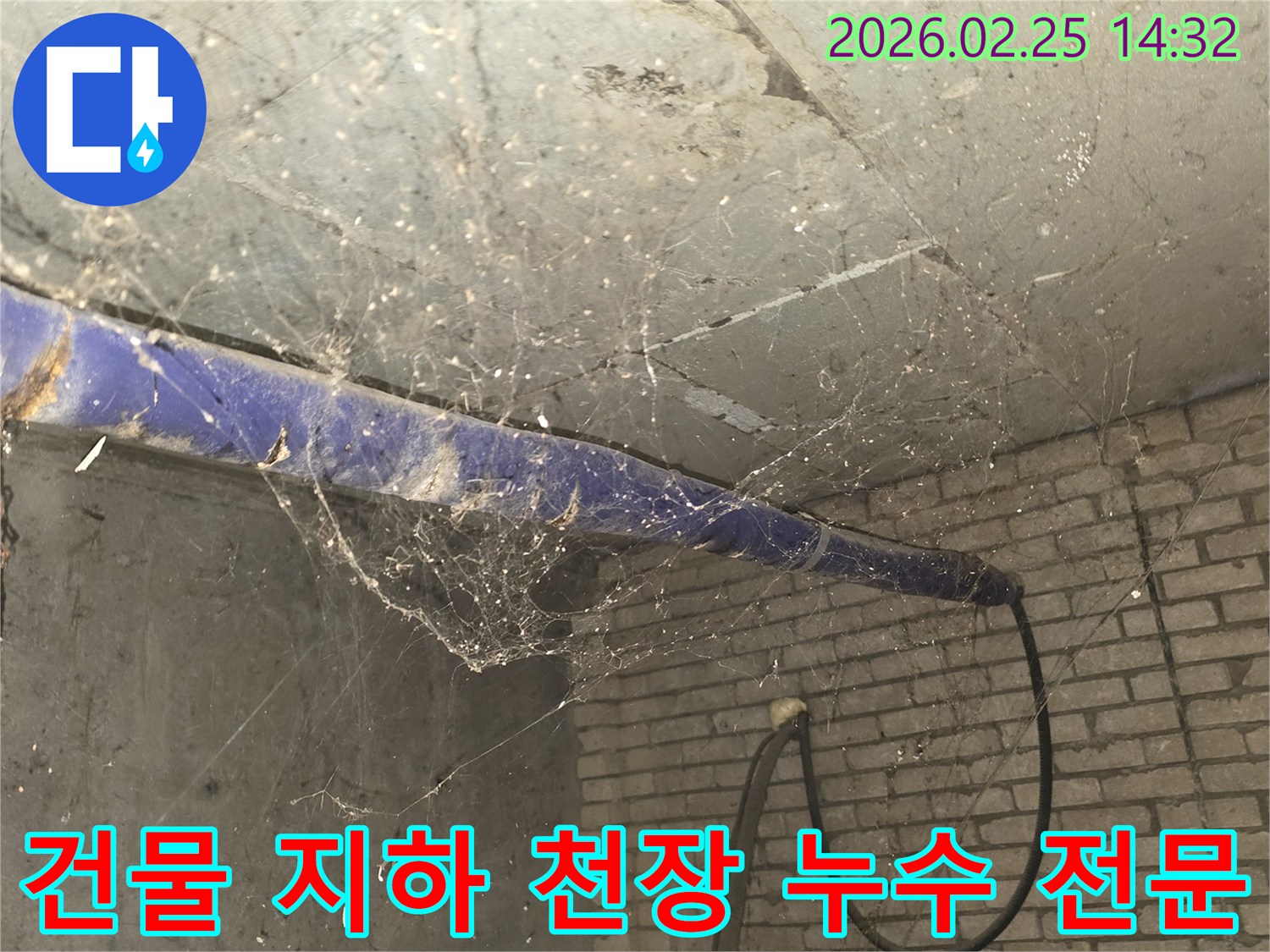 강동구 진황도로 인근 건물-지하 천장에 거미줄이 엉켜있는-누수 탐지 전-현장 준비 모습을 담은 사진입니다.