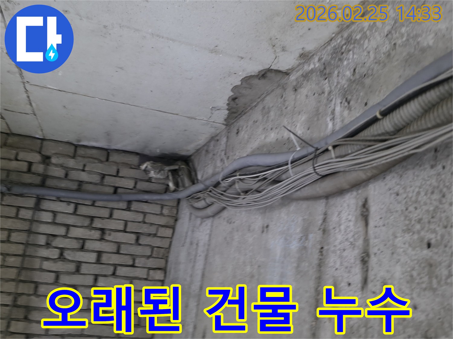 오래된 건물 지하의-콘크리트 벽과-벽돌 벽이 만나는-구석에서-발견된-오랜 누수로 인한-물자국과-주변 배관