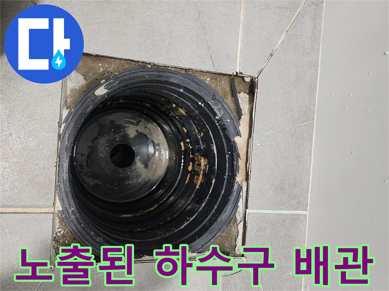 금천구 현장의 유가 탈거 후 드러난 하수구 배관 내부
