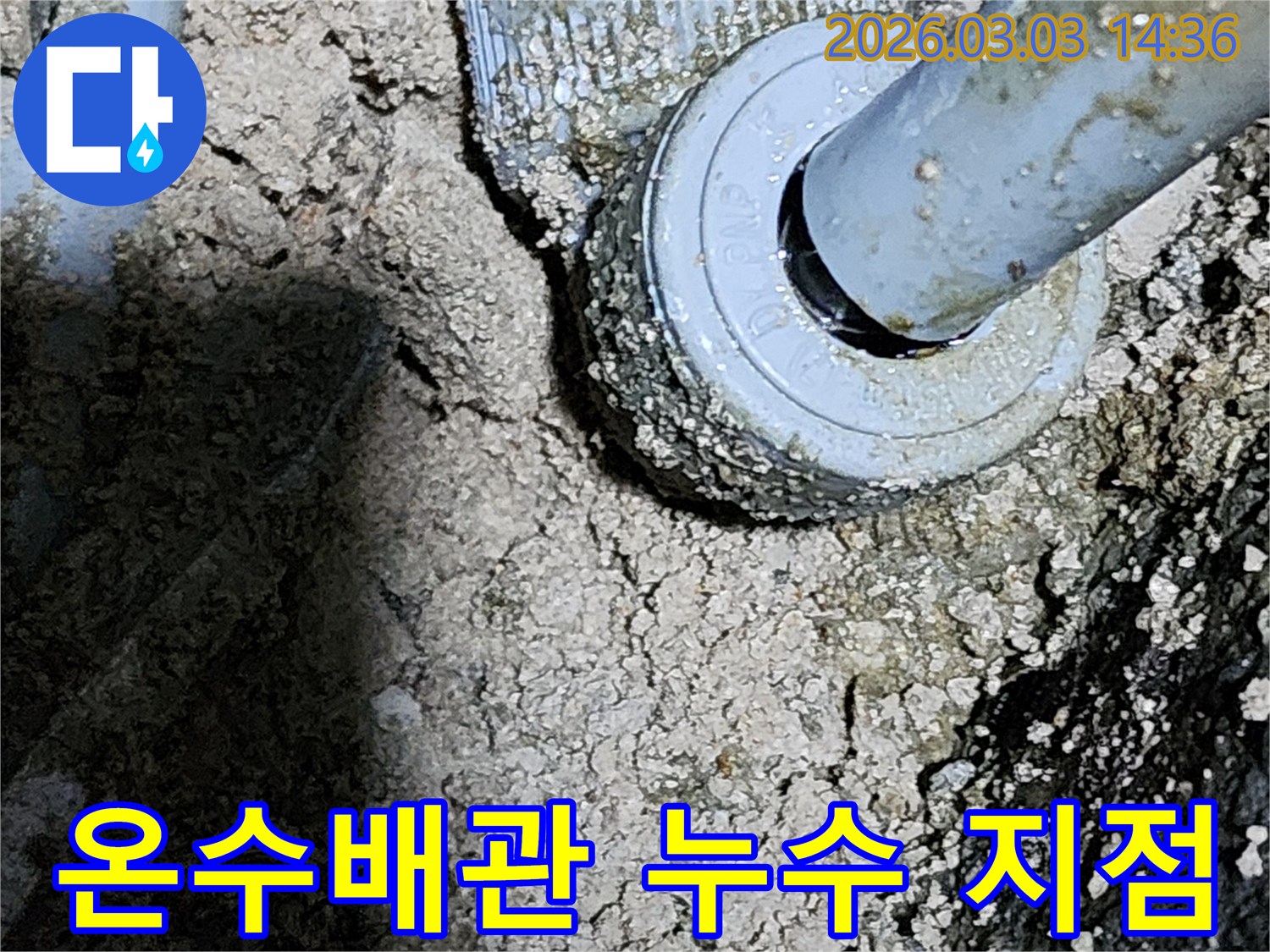 누수-수리를-위해-파헤쳐진-현장에서-확인된-문제의-배관
