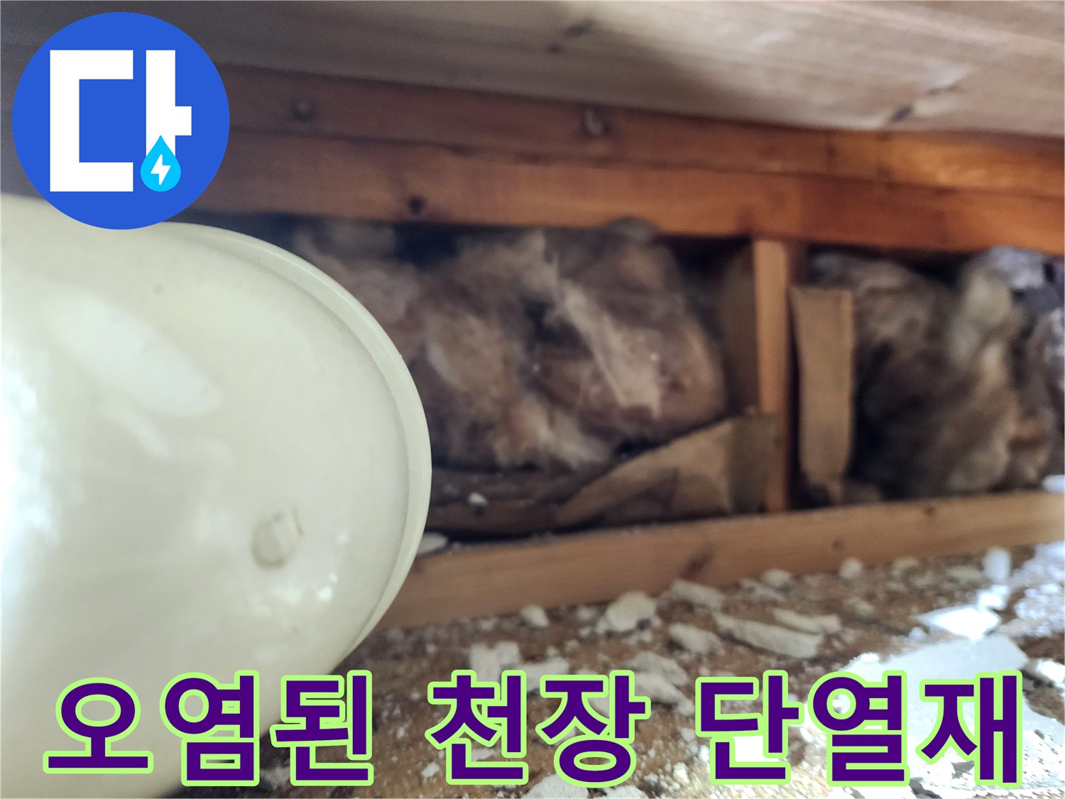 습기로-검게-변한-단열재와-목재-구조물