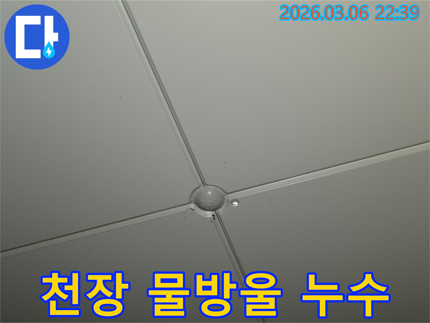 천장 마감재 교차점에서-물방울이 형성되어-떨어지기 직전의-누수 발생 현장