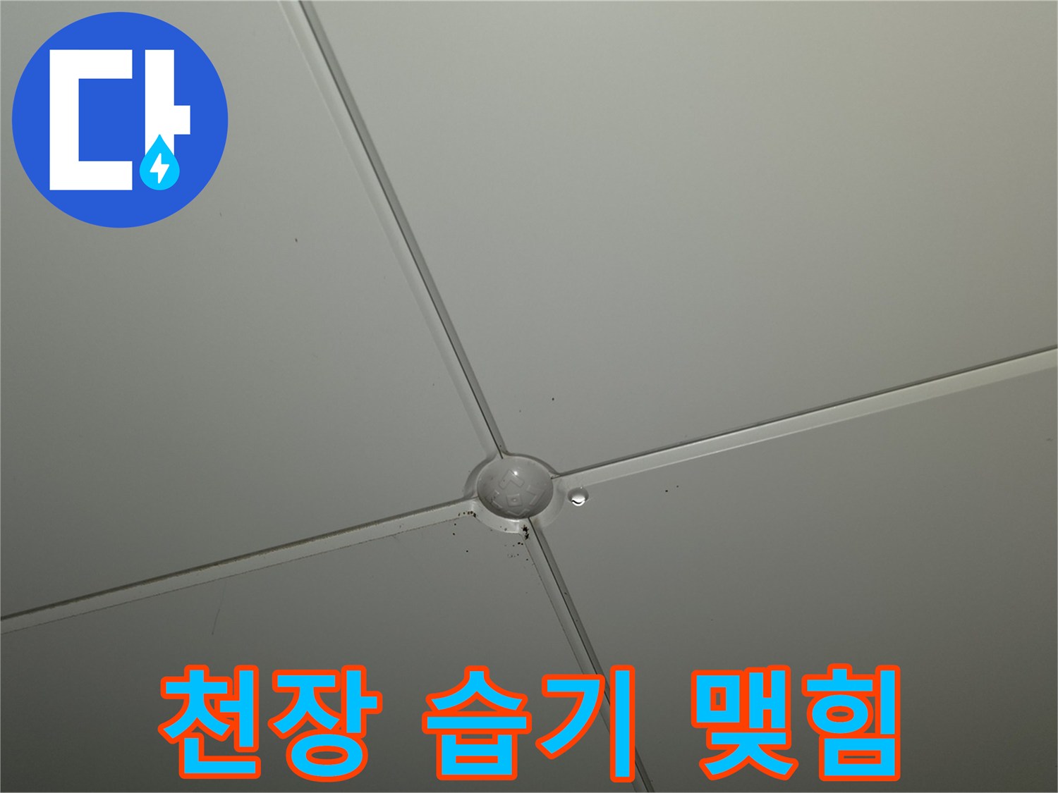 천장-마감재-중앙-부분-습윤-상태