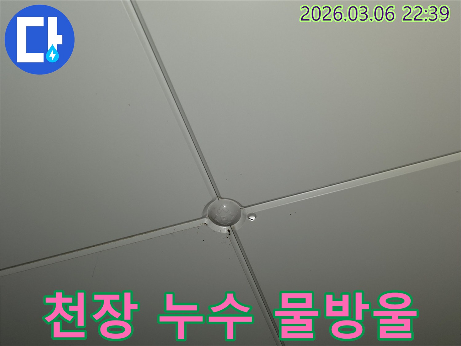 천장 패널 이음새에서-물방울이 맺혀-떨어지기 직전의-누수 현상 클로즈업