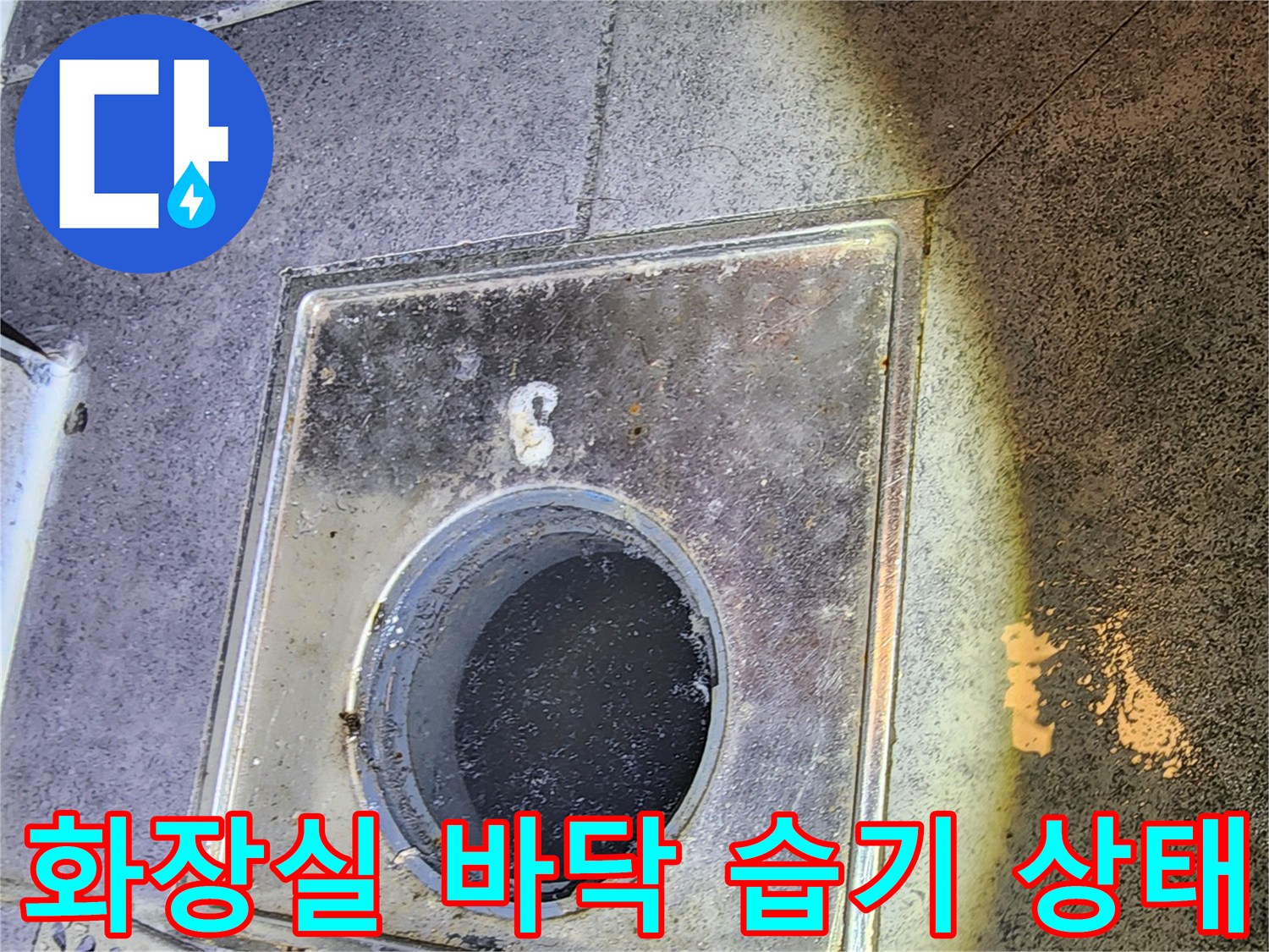 배수구-주변-타일-사이의-습윤한-상태-및-오염