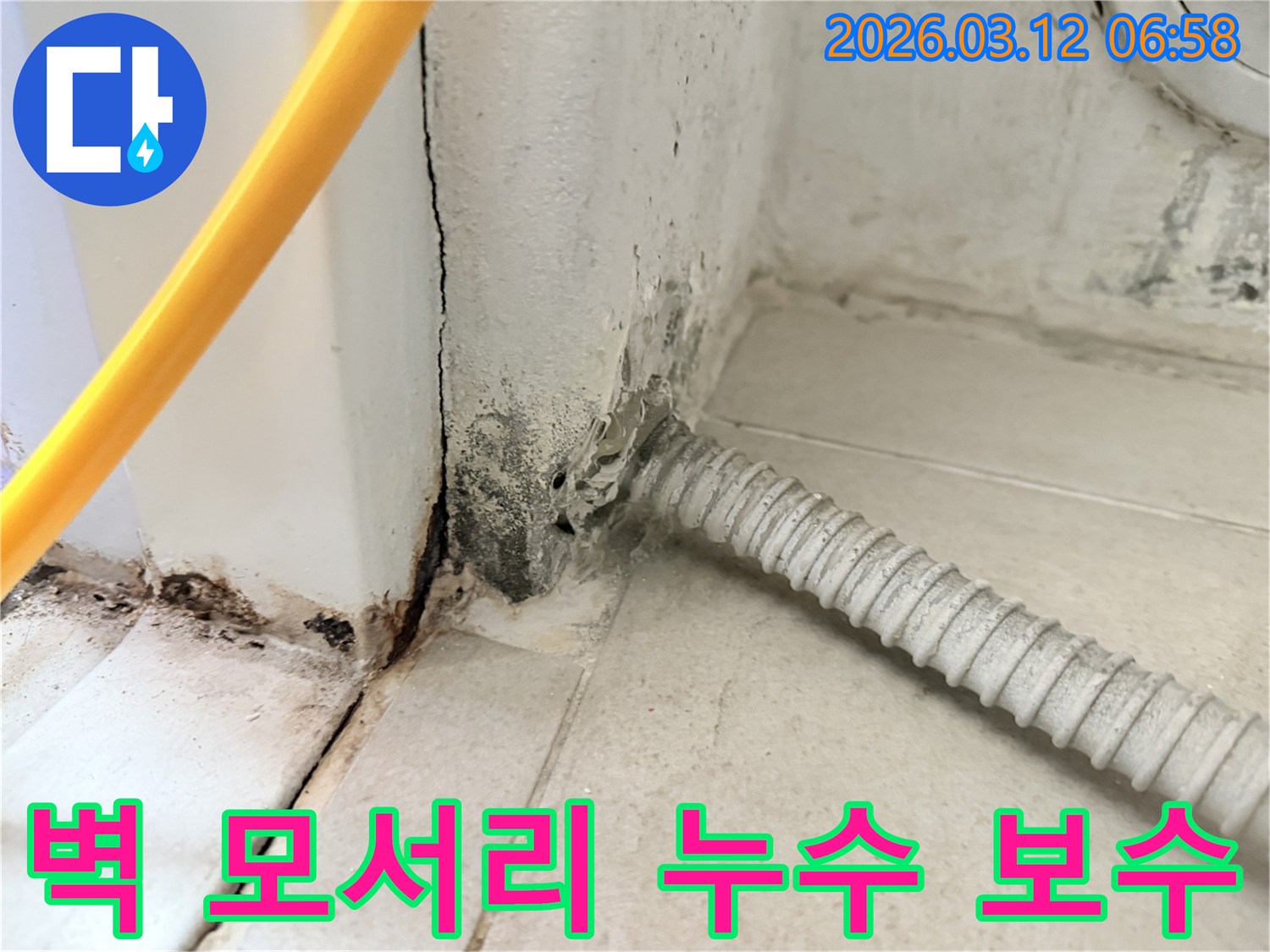 누수-전문-엔지니어가-진단한-마포구-현석동-주택-벽면-곰팡이-피해-모습