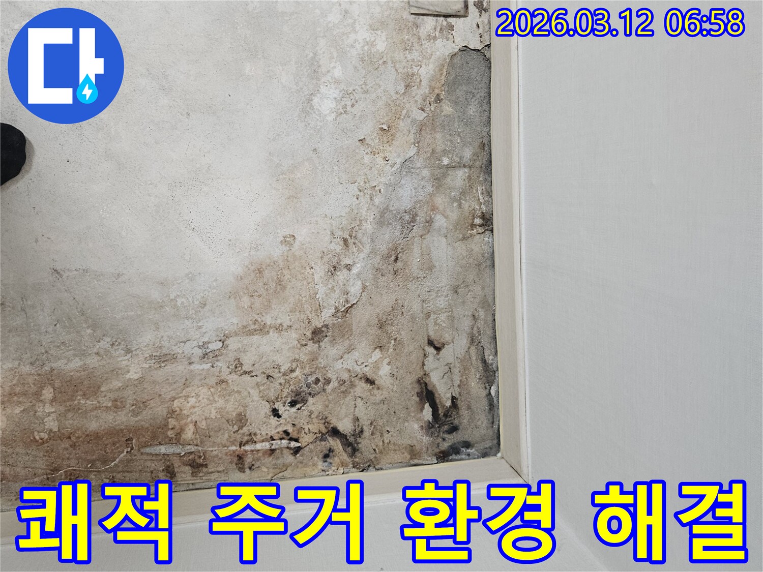 마포구-주택-누수-현장-쾌적한-주거-환경-위한-누수-해결-준비-중