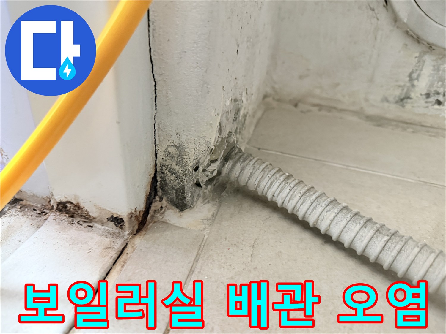 보일러실-벽면-배관-주변-곰팡이-및-누수-흔적