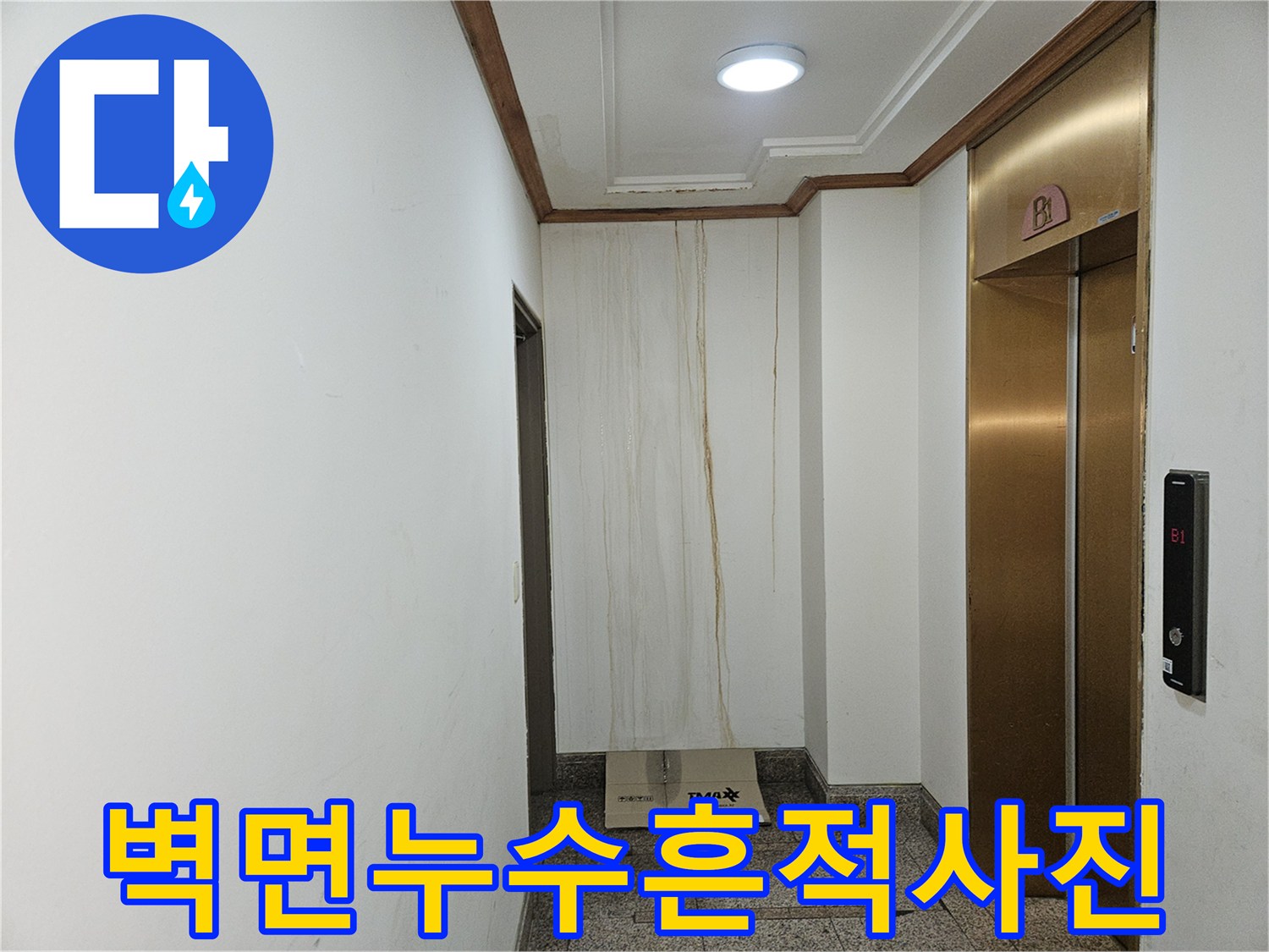 엘리베이터 옆 벽면에 발생한 노란색 누수 얼룩