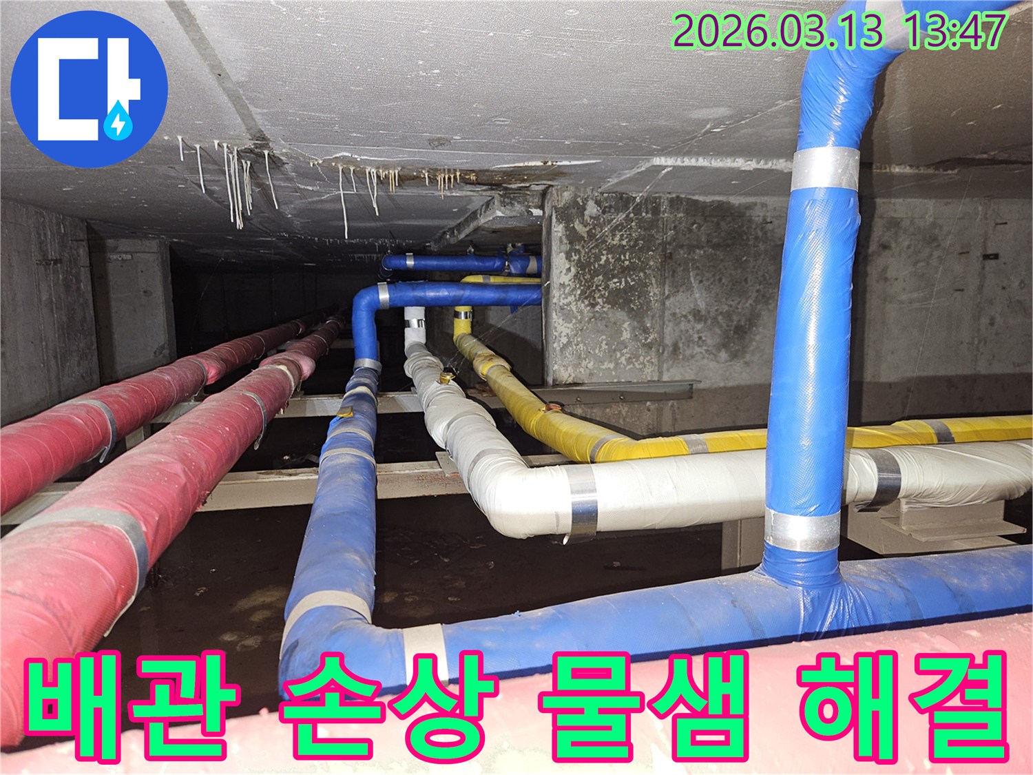 천장-아래-복잡하게-연결된-배관들에서-발생한-손상으로-인한-물샘-현상을-정확히-진단하고-해결하는-전문가의-모습