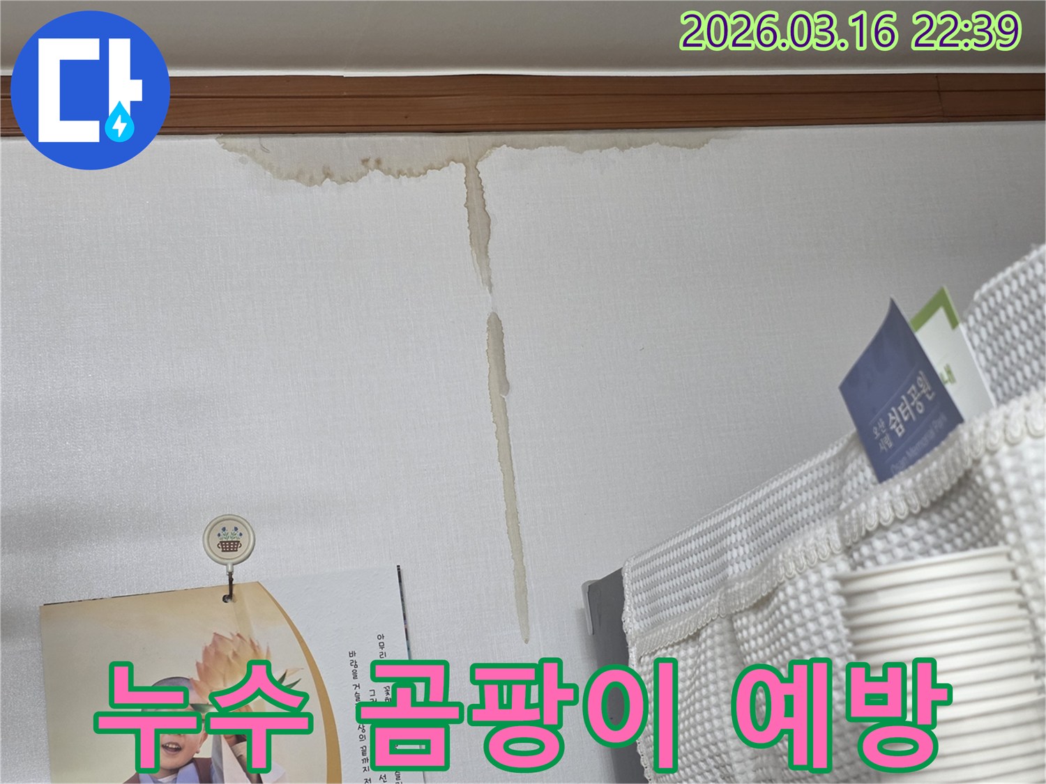 경기 오산시 운암로-실내 벽면에-누수로 인해 생긴-누런 물 얼룩과-곰팡이 발생 우려