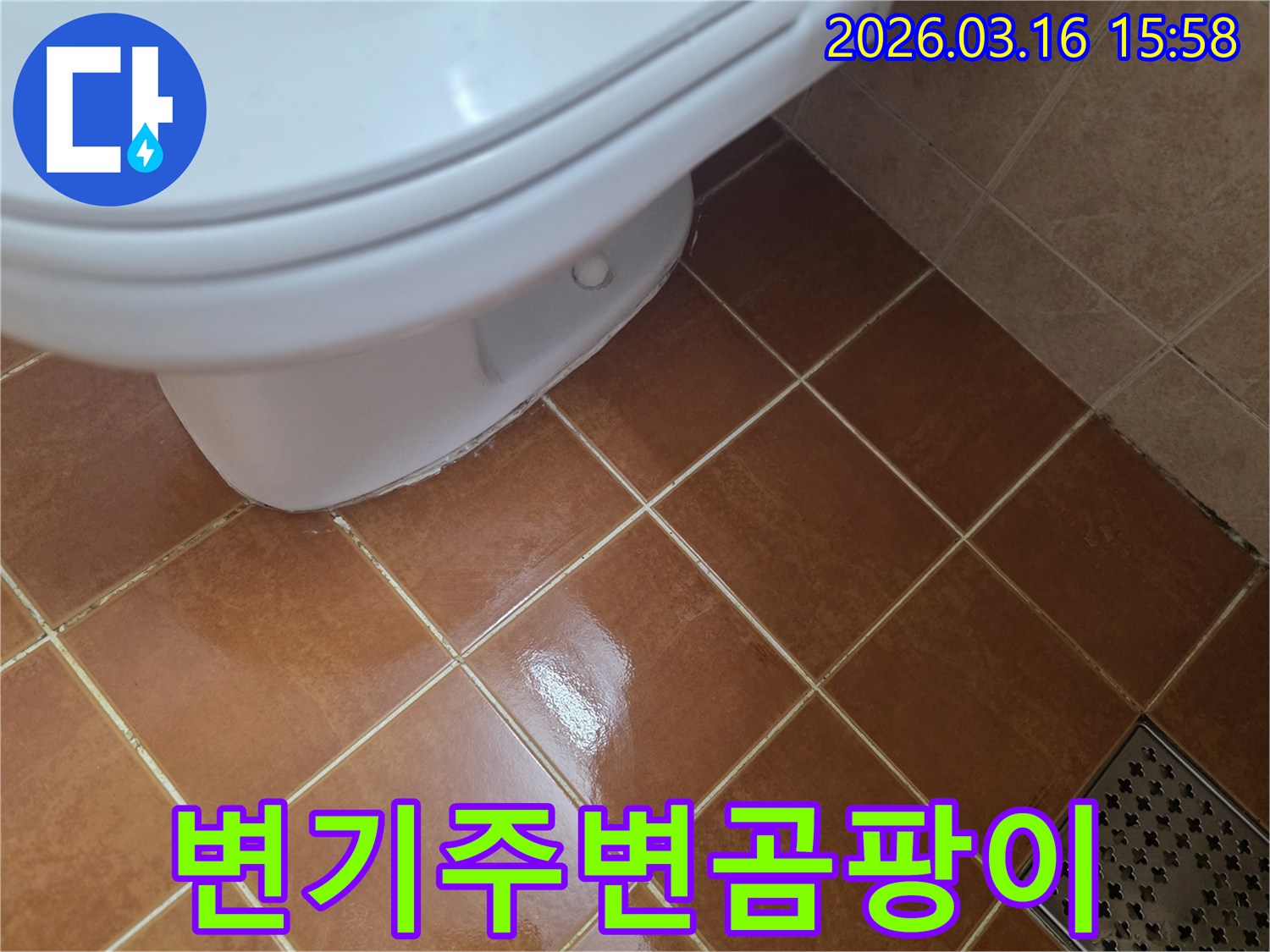 변기 하부 주변에-물기가 지속되어-곰팡이가 발생할-수 있는-누수 현장입니다