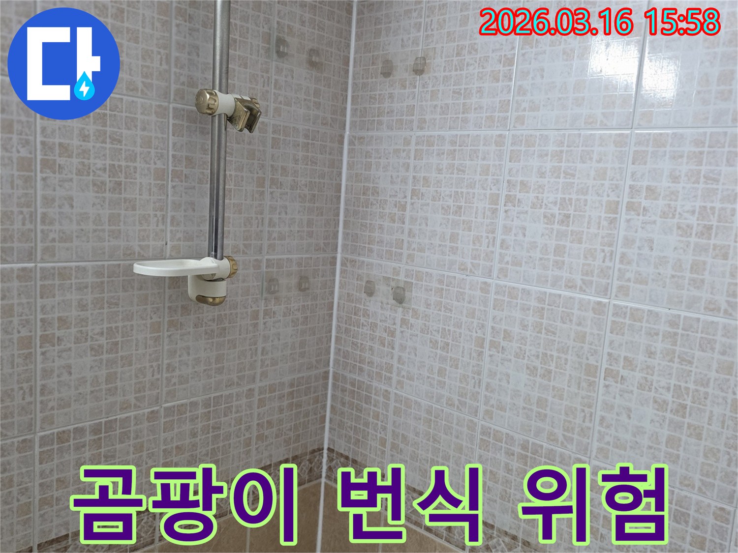 욕실 천장 타일에 물이 새어 생긴-얼룩과 지속적인 습기로 인한-곰팡이 번식 위험을-누수 전문가가 진단하는 모습