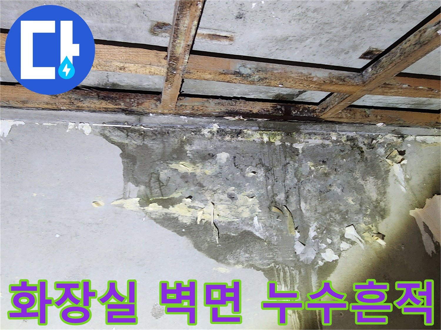 양천구 현장-화장실 벽면에 발생한 심각한 물자국과 습기 상태