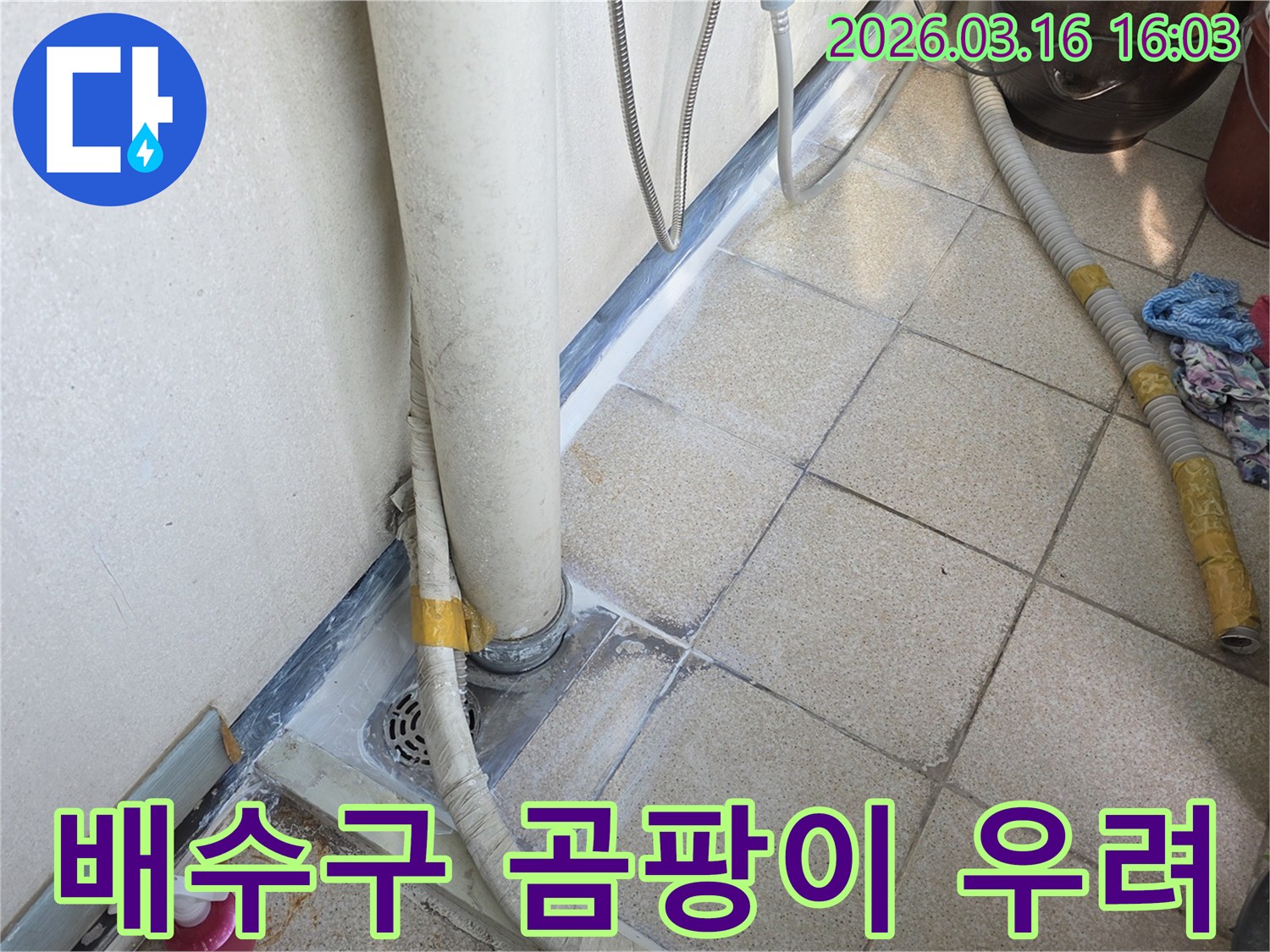 배수구-주변에서-발견된-습기로-인한-곰팡이-발생-우려-진단
