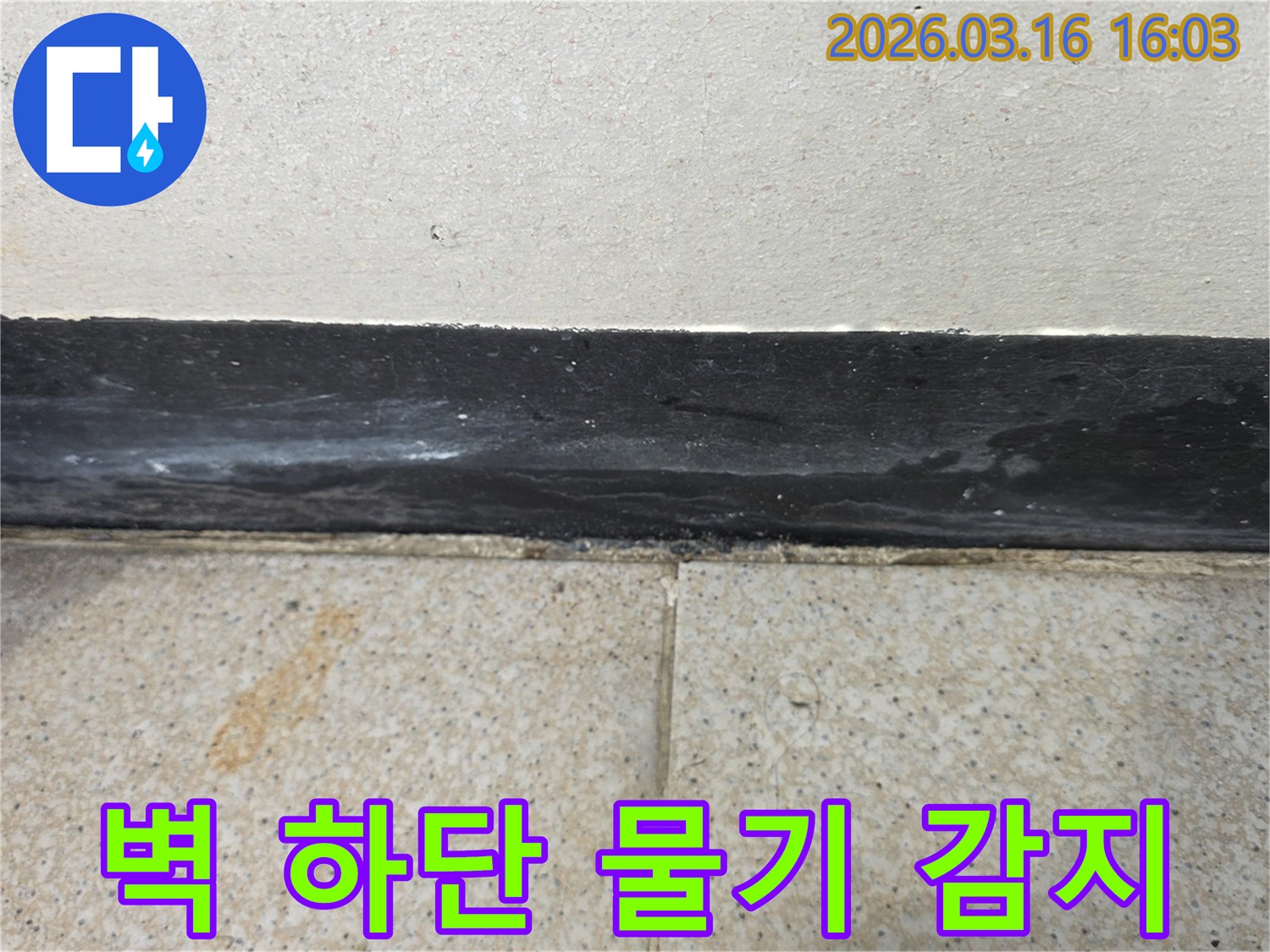 벽 하단부 걸레받이와 타일 경계에서 물기가 감지되어 누수 탐지가 필요합니다