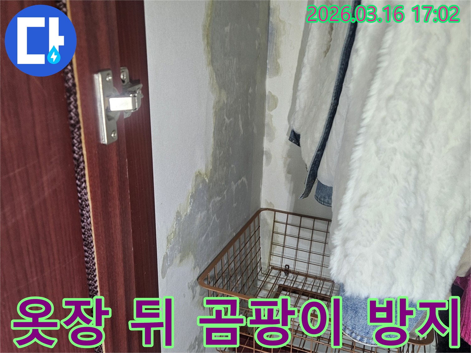 옷장 뒤편- 벽면에 생긴- 곰팡이와- 물기로 인한- 오염 부위