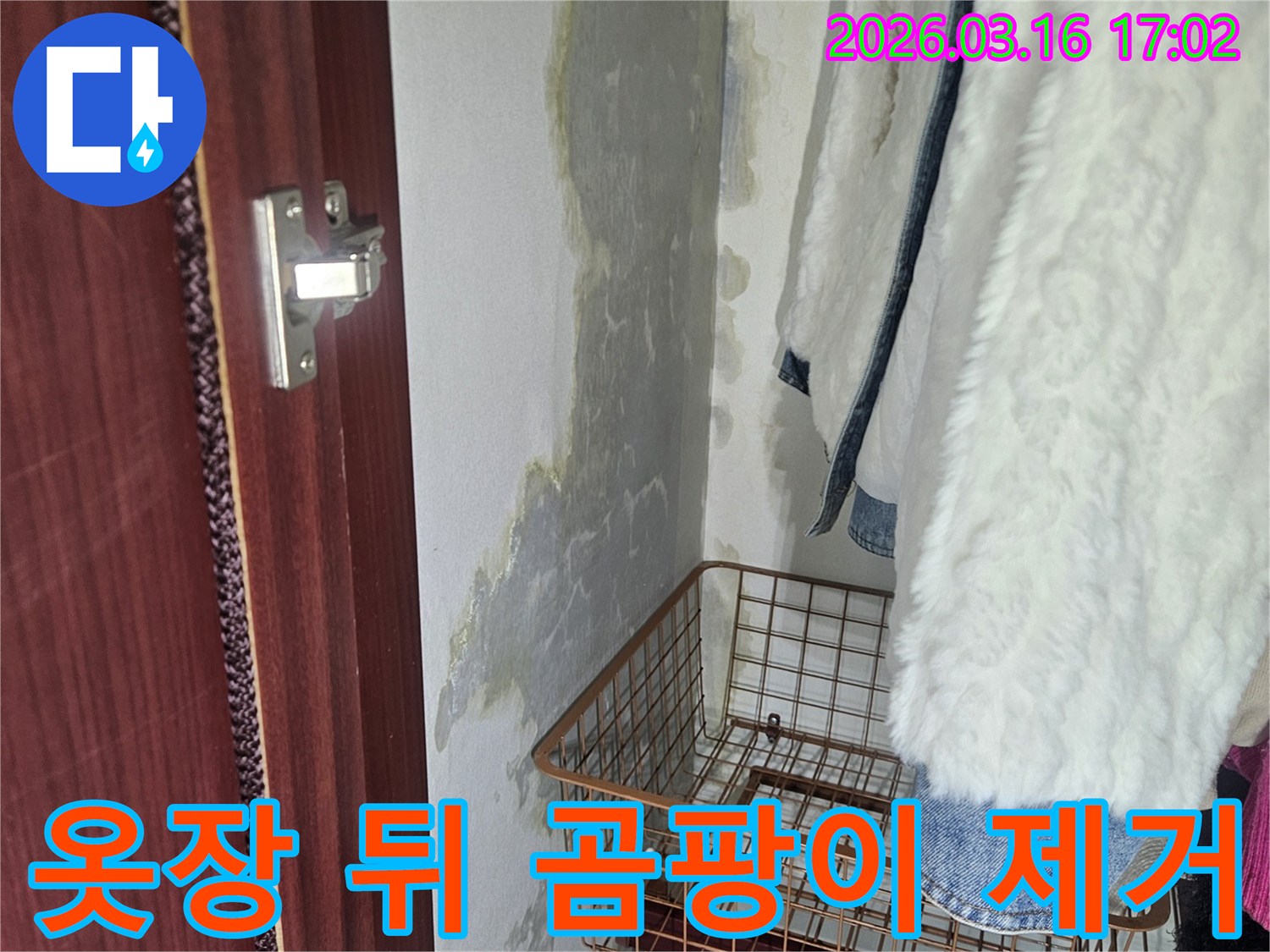 옷장 뒤편- 벽면에 생긴- 곰팡이와- 습기로 인한- 오염 부위