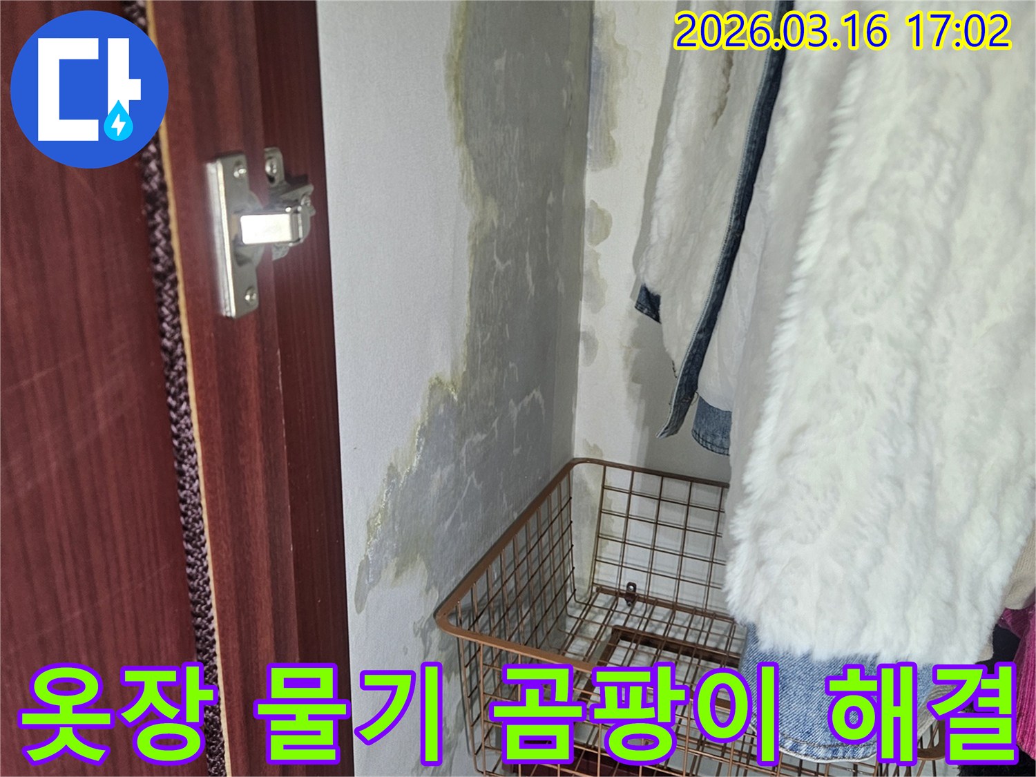 옷장 안쪽- 벽에 생긴- 물기와- 곰팡이로 인한- 얼룩 현상