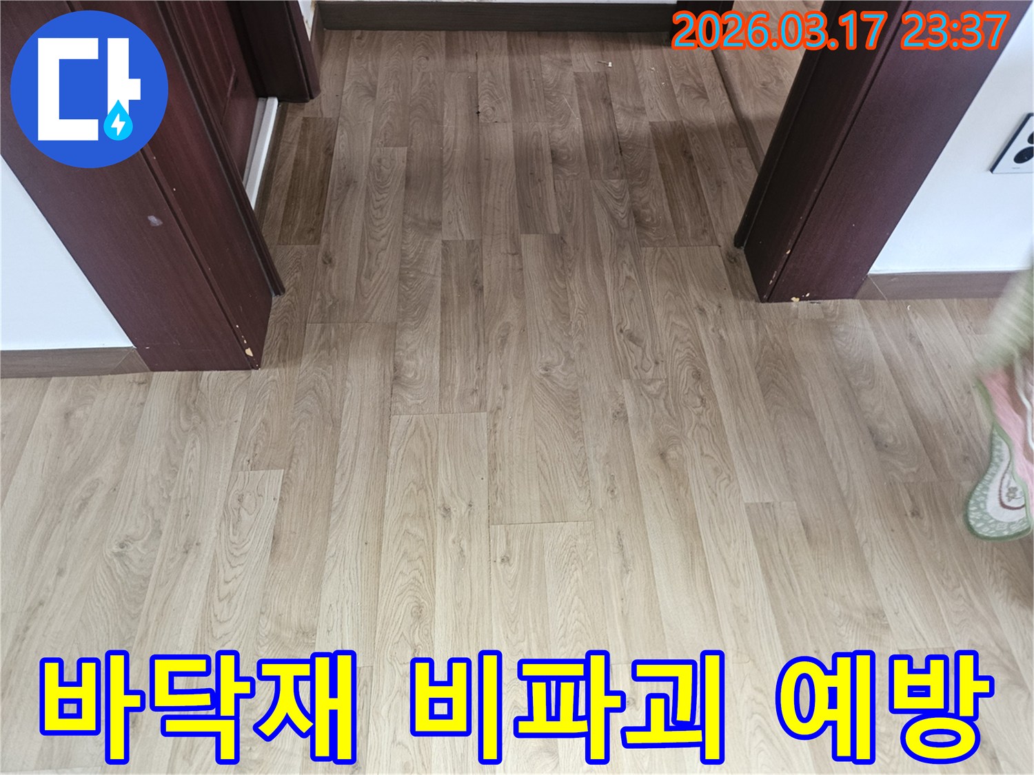 누수 탐지 작업을 위해-바닥 마루의 손상 여부를-육안으로 확인하는-초기 단계의 이미지입니다.