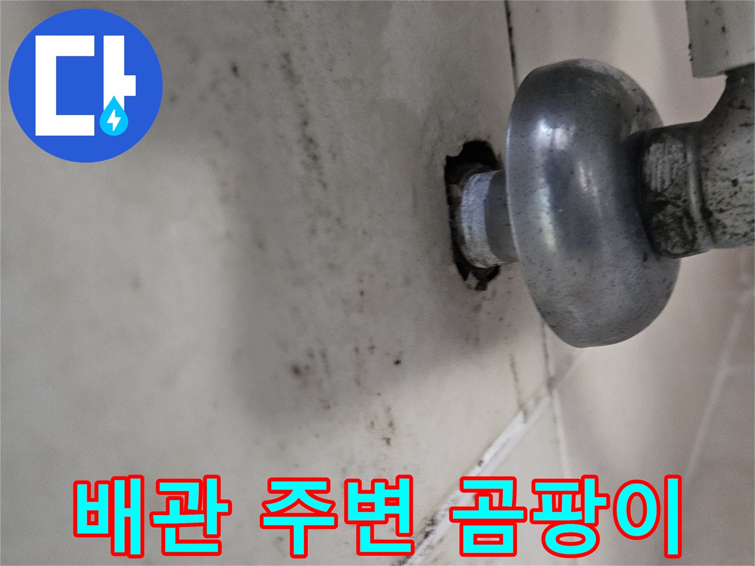 배관 연결 지점-습기로 인한 곰팡이 및 변색 부위