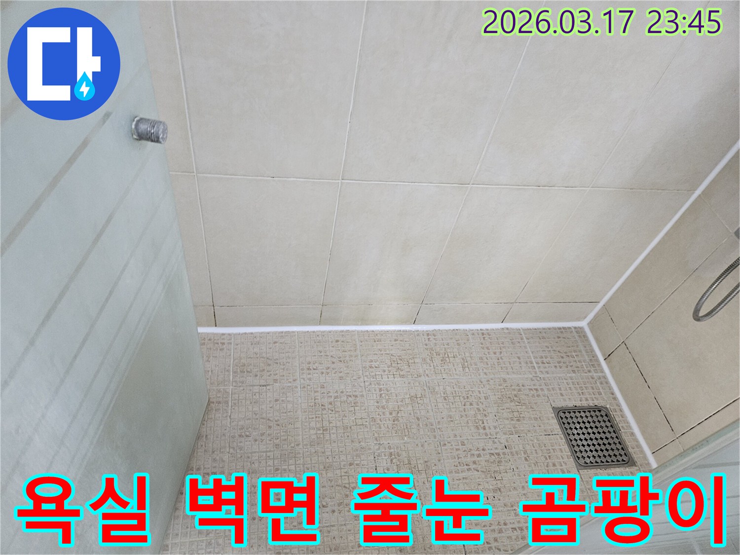 오래된 욕실 벽면 타일의 줄눈에-검은 곰팡이가 심하게 발생한 상태를-보여주는 현장 사진입니다