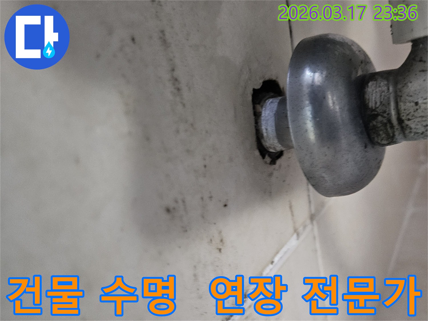 천장-배관에서-발생한-누수로-인해-오염된-벽면과-건물-수명-연장을-위해-누수-전문가에게-맡겨야-하는-모습