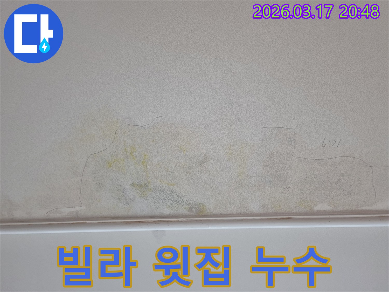 누수 발생으로 천장에 생긴 젖은 흔적과 곰팡이-신속한 조치가 필요합니다