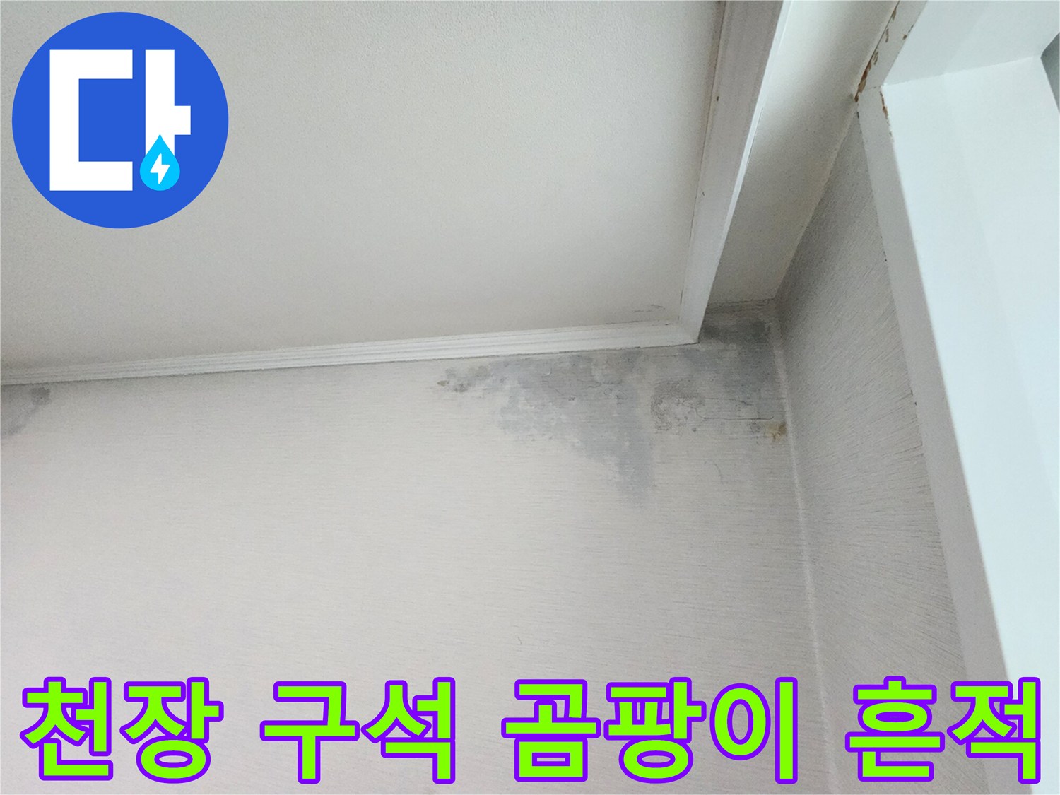 누수로 인해 변색된 천장과 벽면의 경계 부위 사진