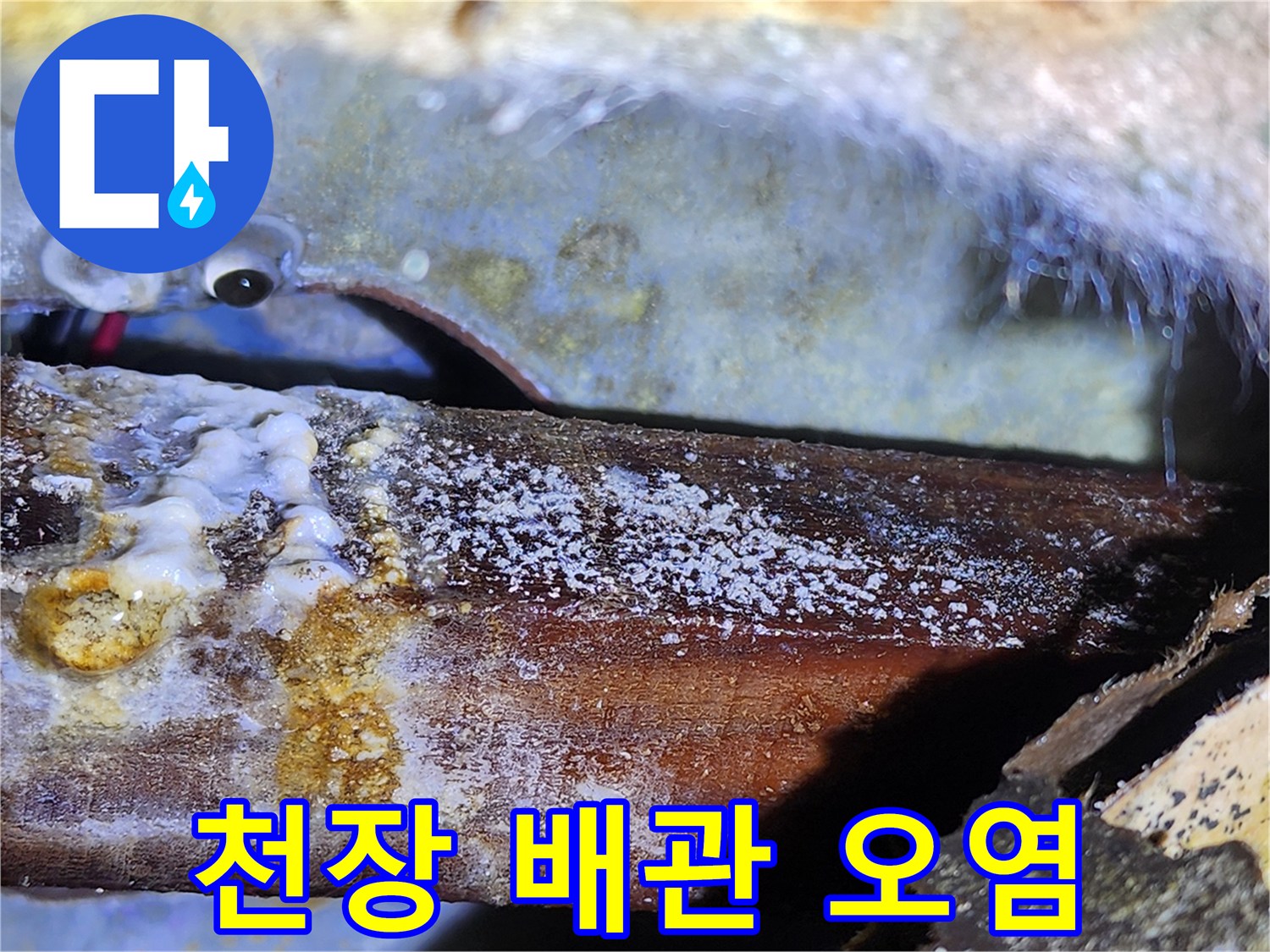 아파트 천장 내부-배관 주변의 하얀 백화 현상과 곰팡이 상태