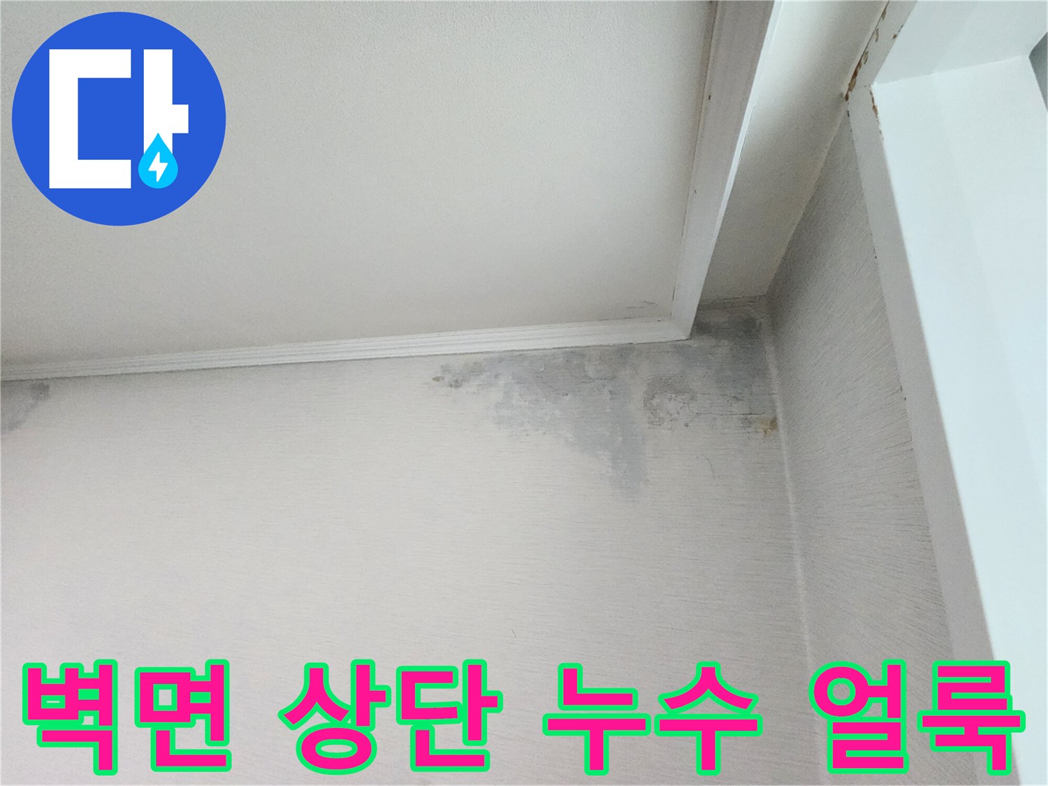 천장 경계 부위에 나타난 누수 흔적과 곰팡이 자국
