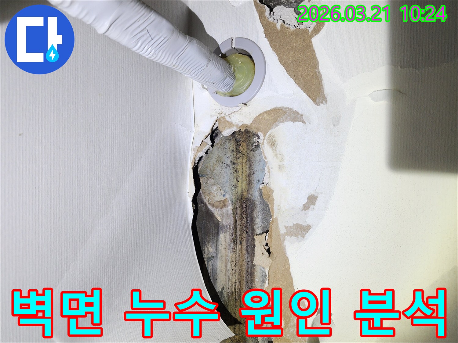 누수로-인해-벽지가-손상되고-곰팡이가-생긴-상가-벽면에-누수-탐지-장비가-삽입되어-원인을-분석하는-모습