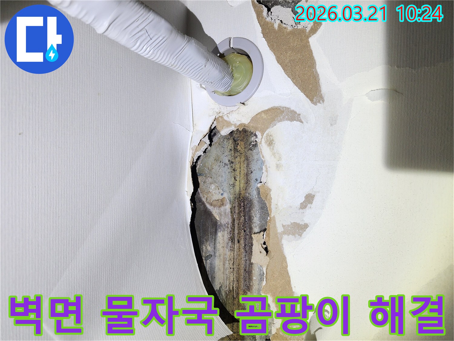 누수로-인해-벽지가-손상되고-물자국과-곰팡이가-피어있는-벽면에-누수-탐지-장비가-삽입된-모습
