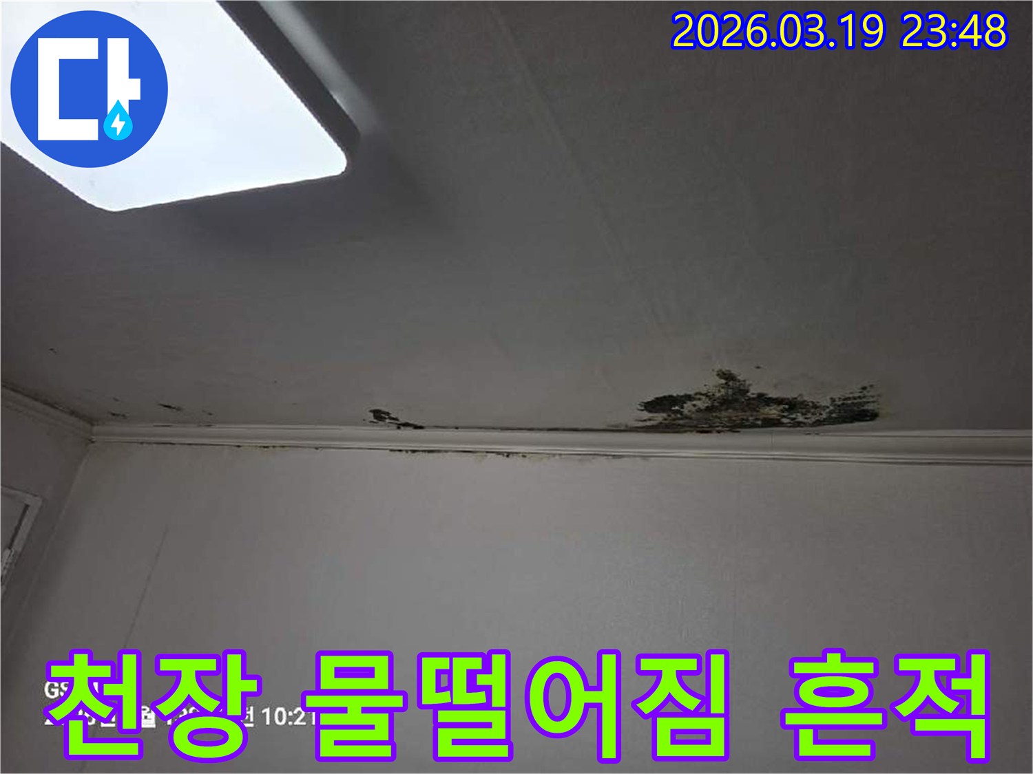 천장-모서리-부분에-물이-새어-들어-벽지가-젖고-손상된-모습을-보여주는-사진
